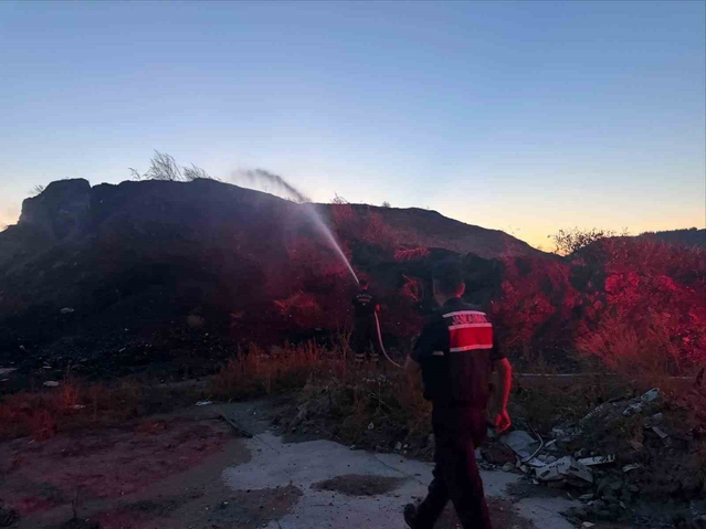 Bilecik'te Ot Yangını Kontrol Altına Alındı