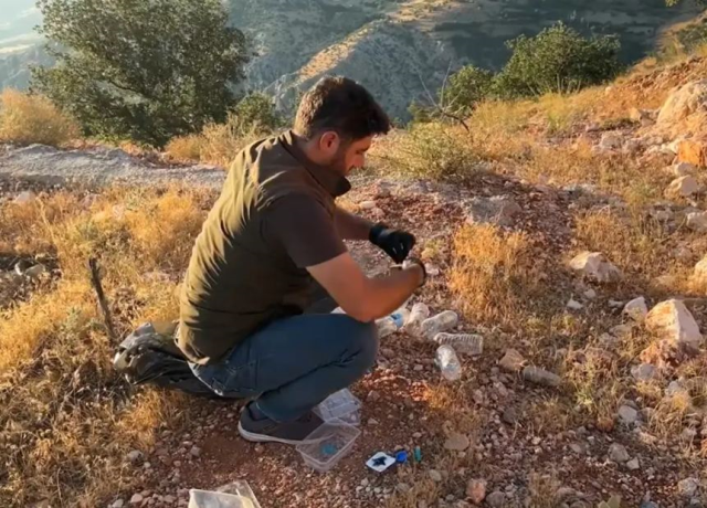 Çinliler Türkiye'deki çekirgelerin peşinde! Neden ortaya çıktı
