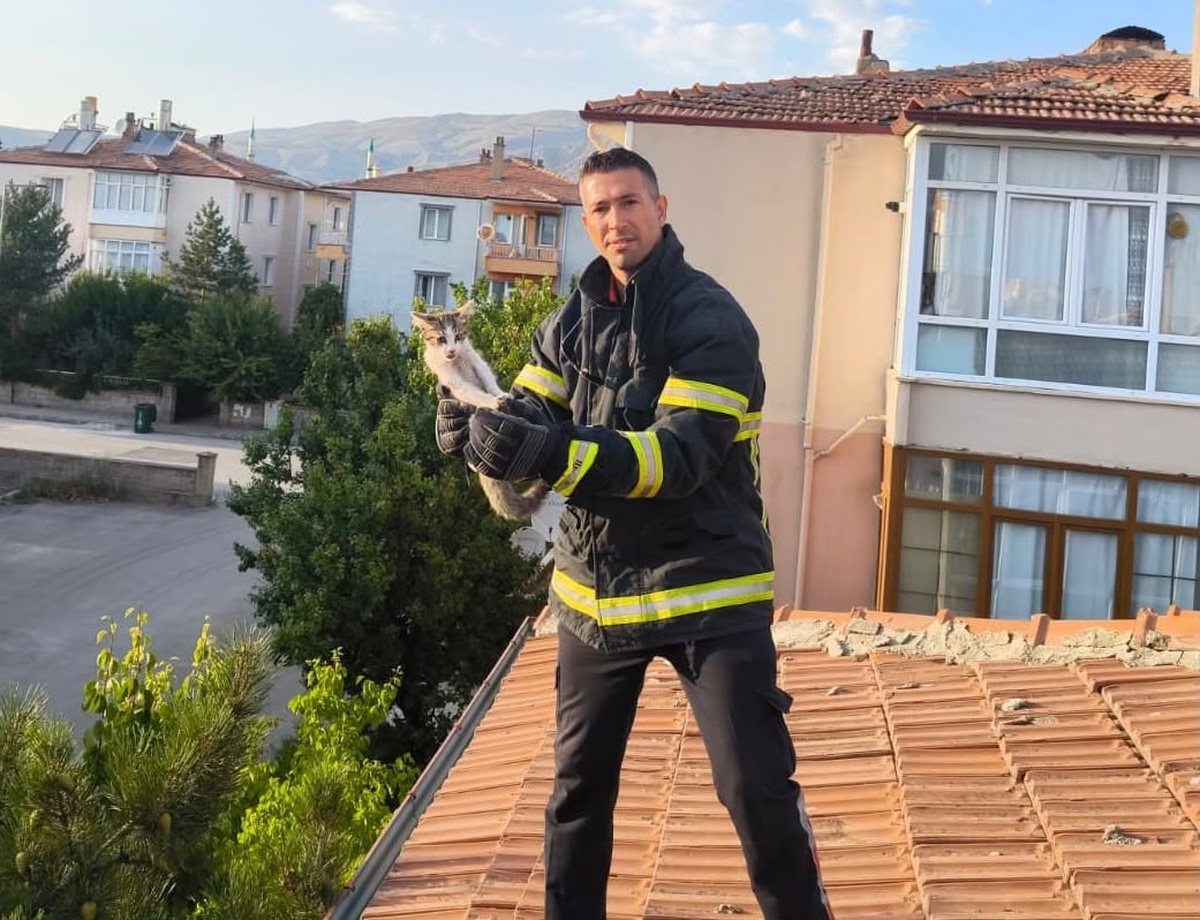 Yavru Kedi İtfaiye Tarafından Kurtarıldı
