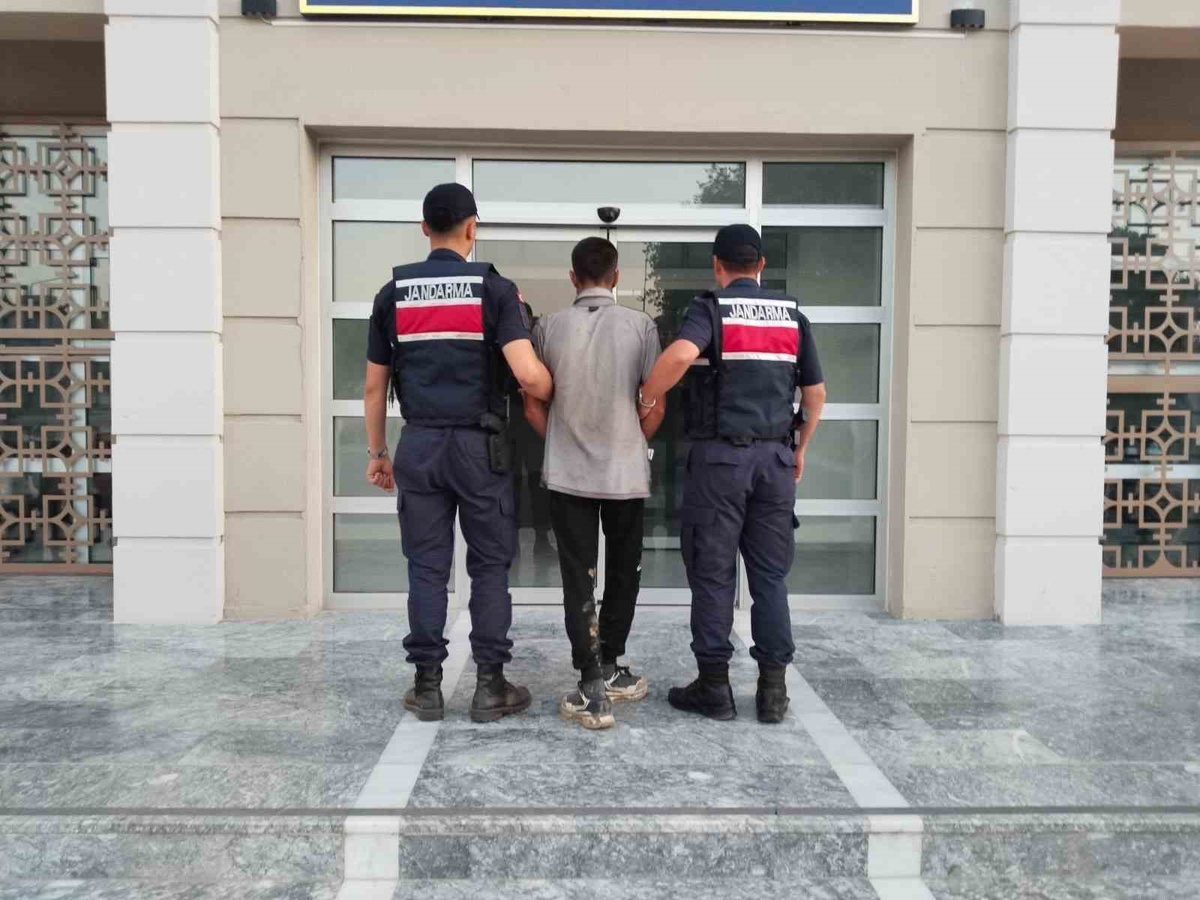 İncir Hırsızı Suçüstü Yakalandı