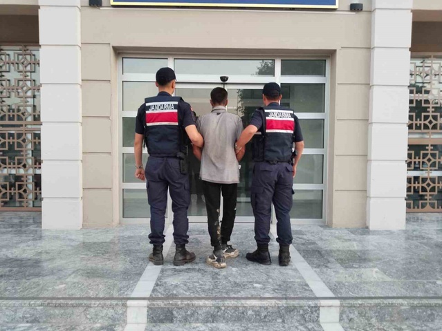 İncir Hırsızı Suçüstü Yakalandı