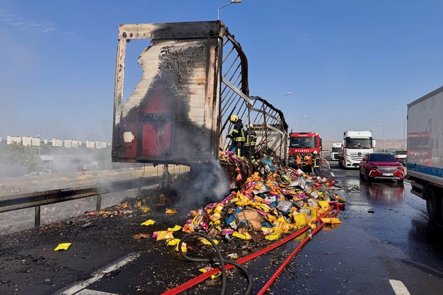 Kayseri'de Tırda Yangın: Cips Yükü Zarar Gördü