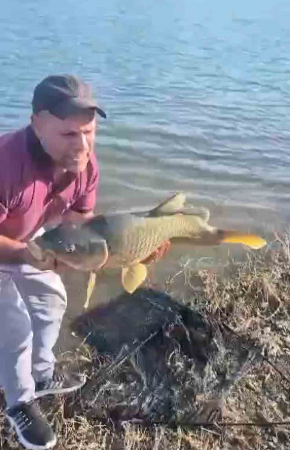 Elazığ'da Amatör Balıkçı 10 Kilogram Sazan Yakaladı