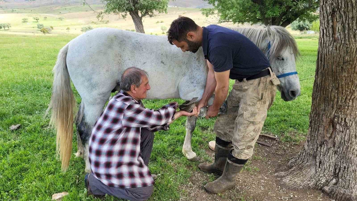 Kemaliye'de Nalbantlık Geleneği Yaşatılıyor