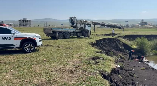 Ardahan'da Bataklığa Saplanan At Kurtarıldı
