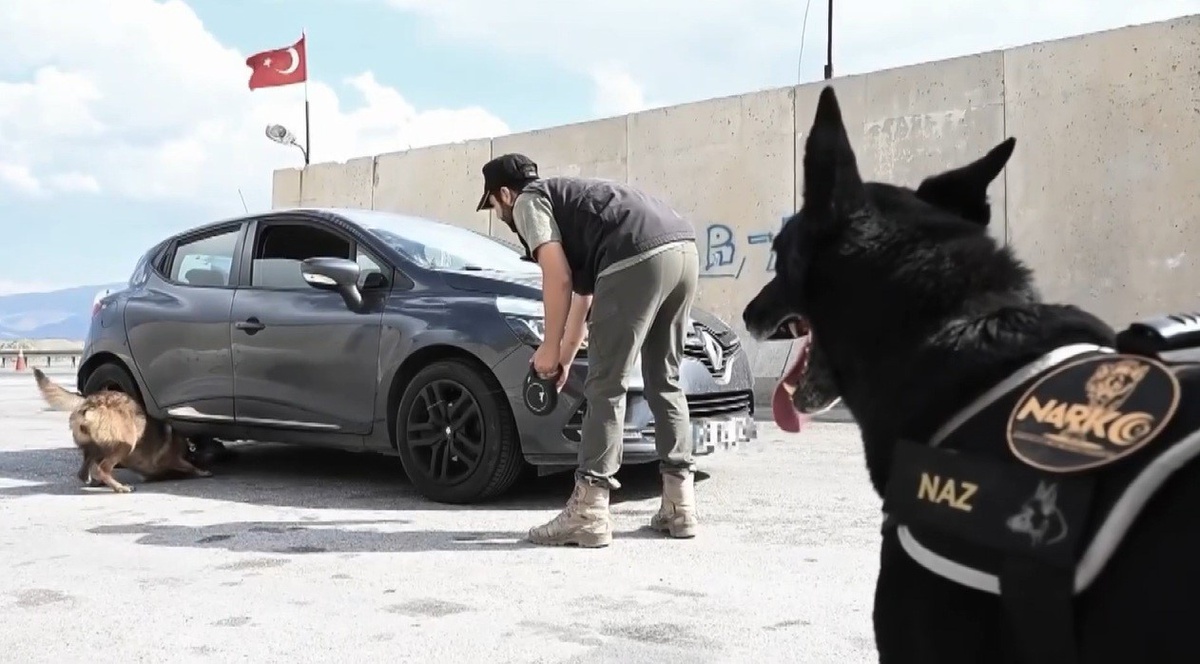 Narkotik köpeği Naz emekli oldu