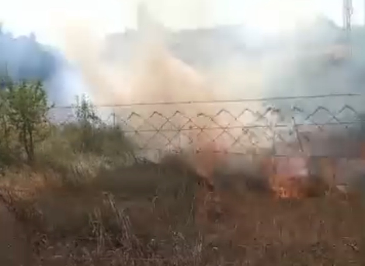 Eskişehir'de Yangın Meyve Fidanlarını Zarara Uğrattı