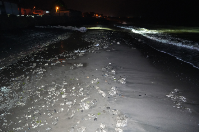 Samsun sahilinde şüpheli madde paniği: Ekipler alarma geçti