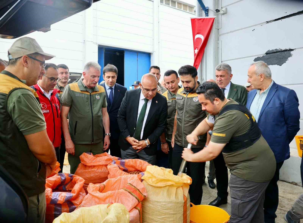 TMO, Giresun’da fındık alımına başladı