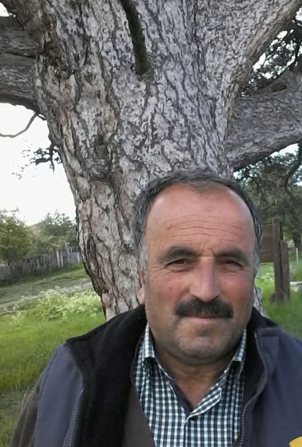 Kastamonu'da Ağaç Kesimi Sırasında Ölüm
