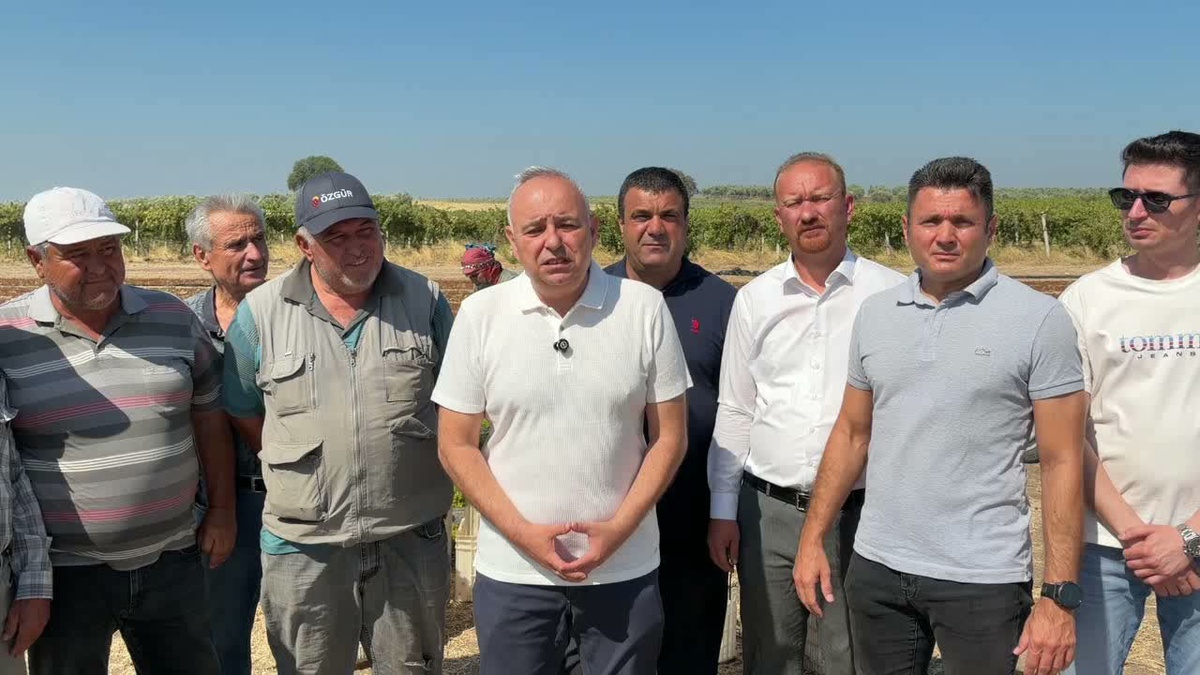 Üzüm Fiyatları Düşüşte, TMO'ya Acil Müdahale Çağrısı