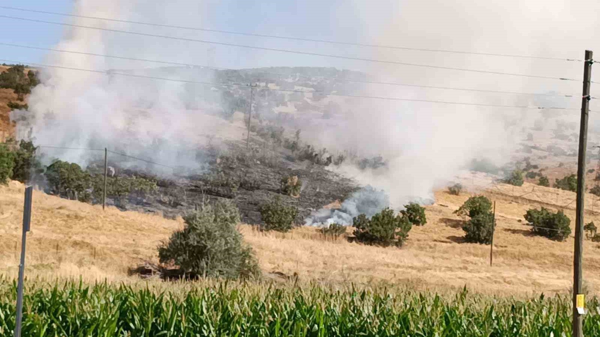 Bingöl'de Yangın Kontrol Altına Alındı