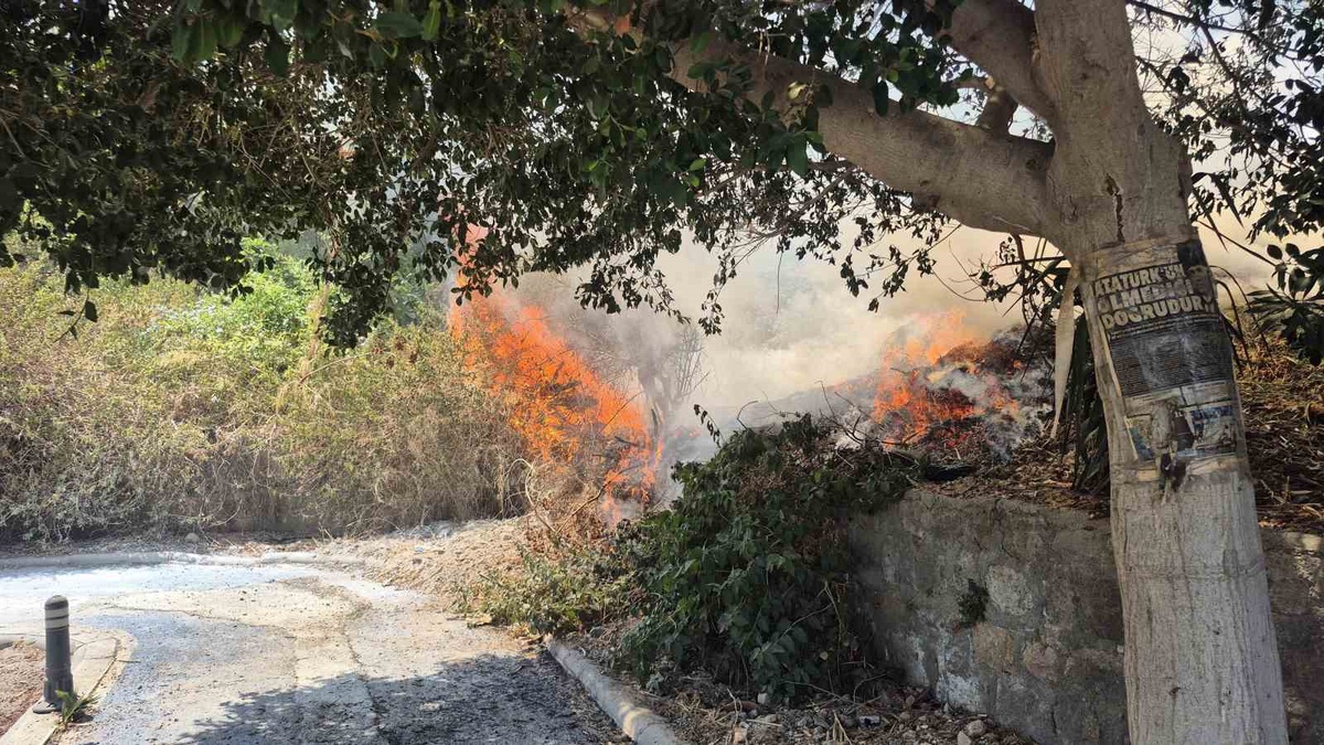 Bodrum'da Yangın Kontrol Altına Alındı