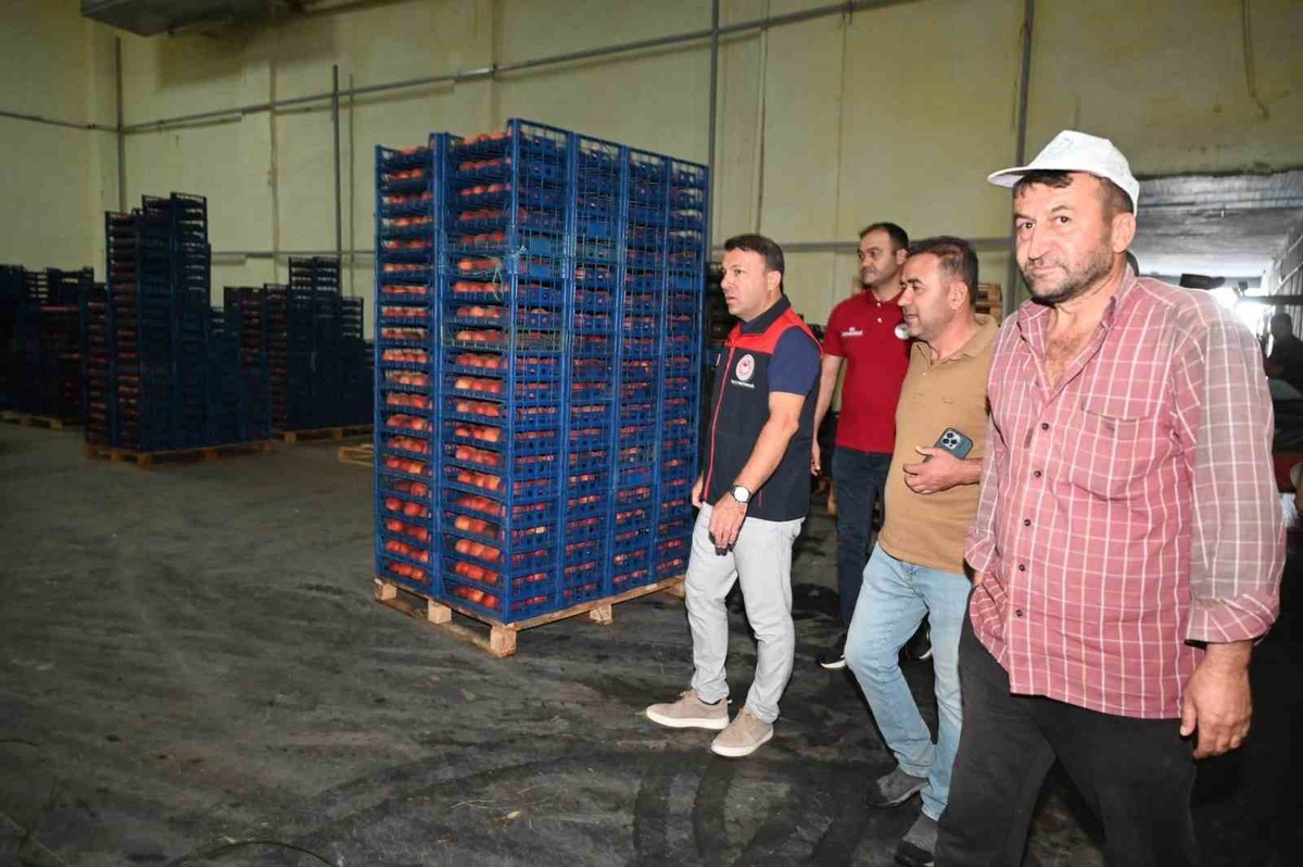 Şeftali Hasadı Değerlendirildi