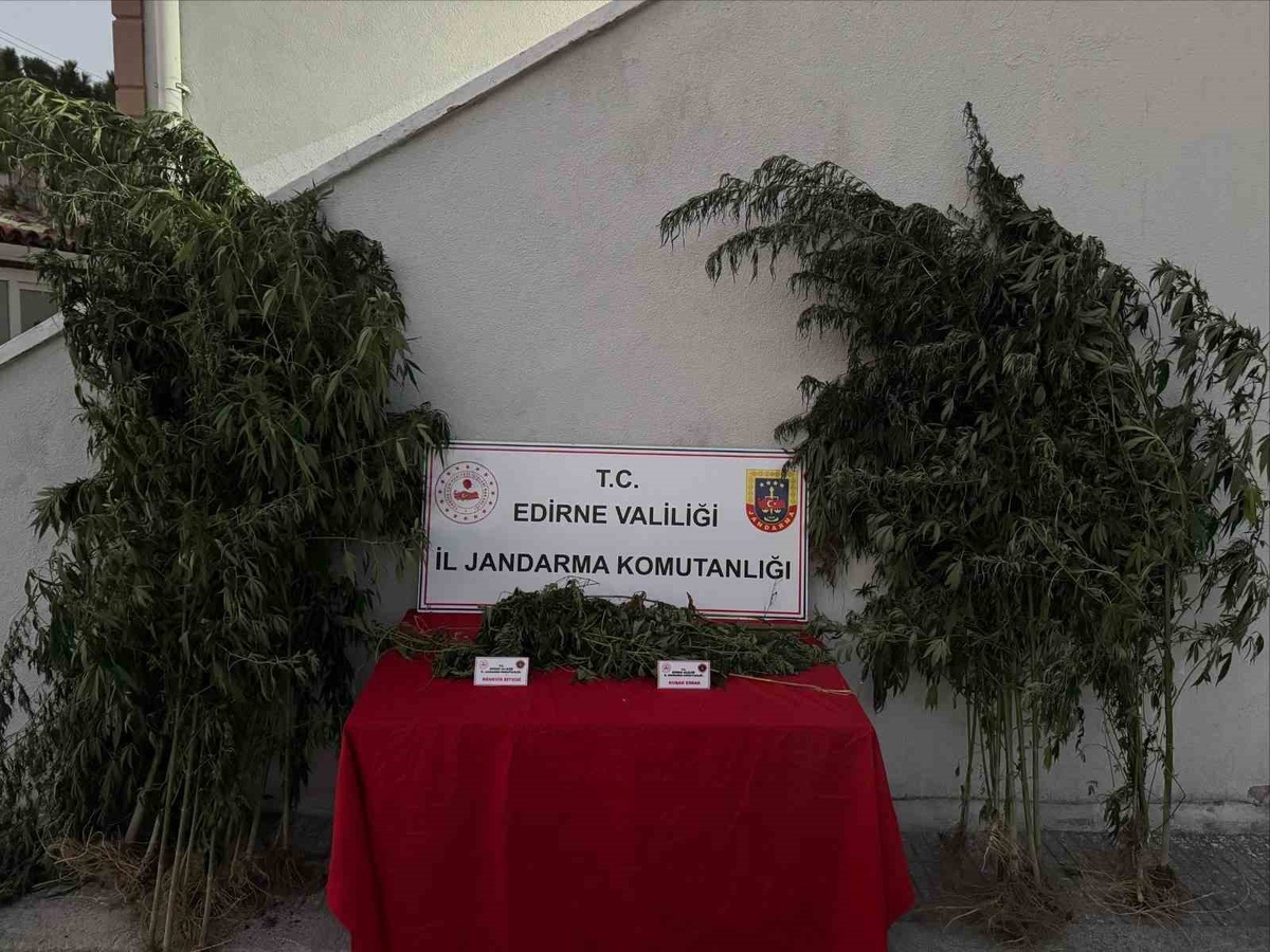 Edirne'de Kenevir Operasyonu