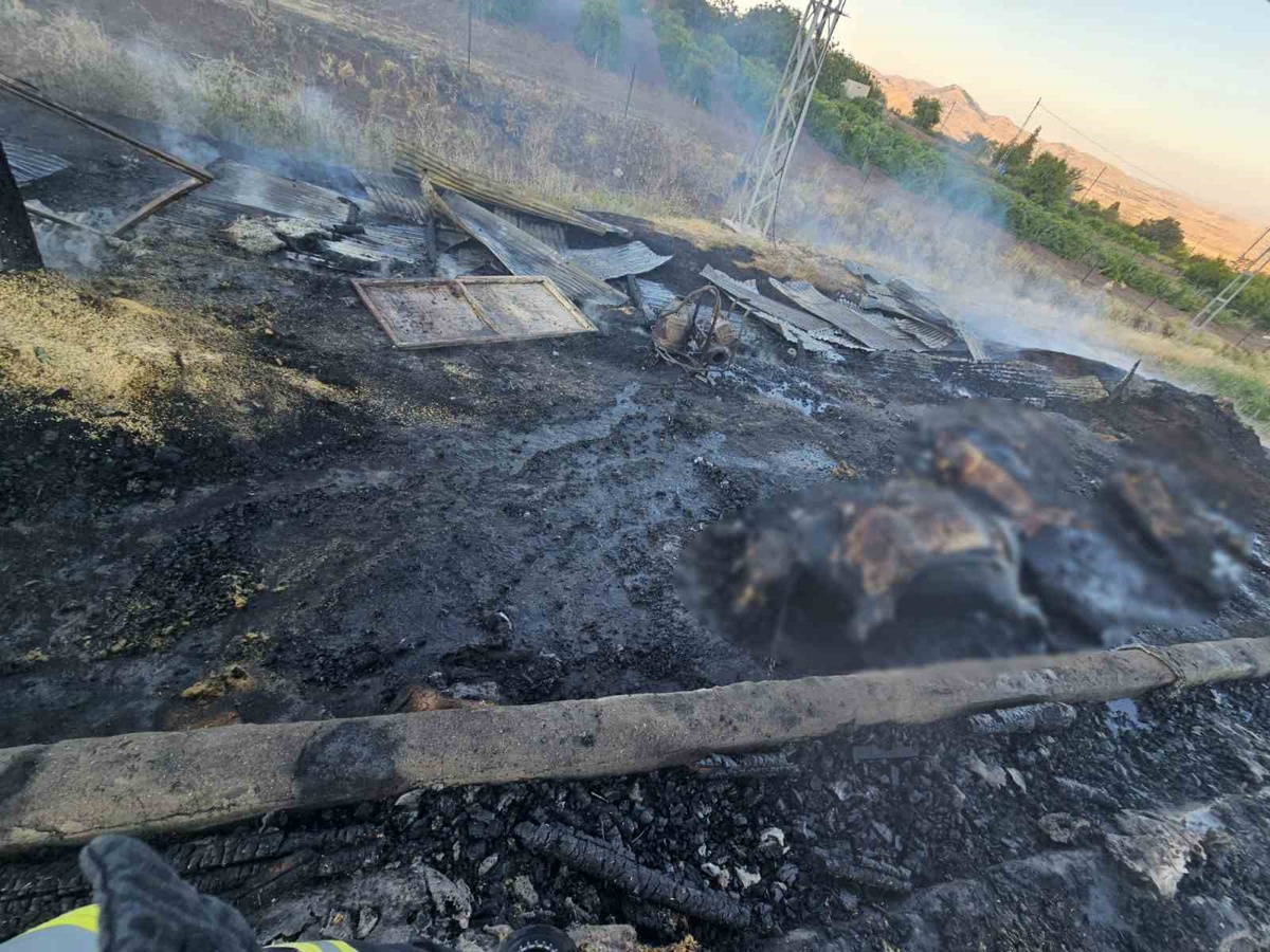 Yangında 3 Gebe İnek Telef Oldu