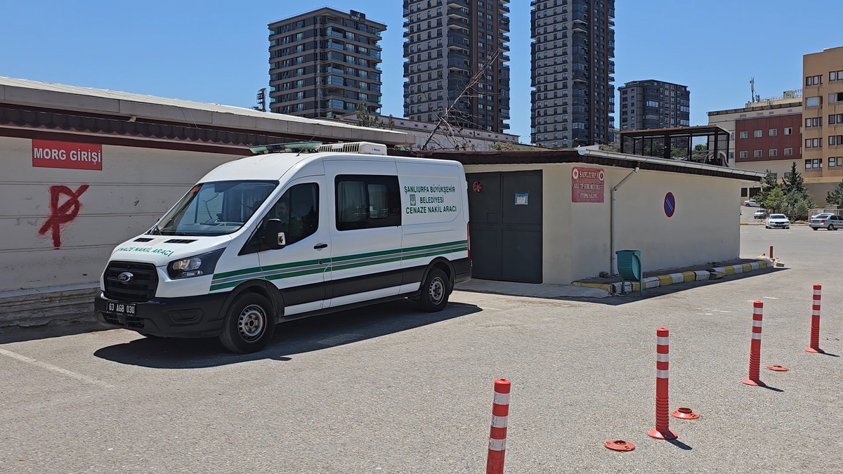 Akçakale'de Elektrik Direğinde Trajedi