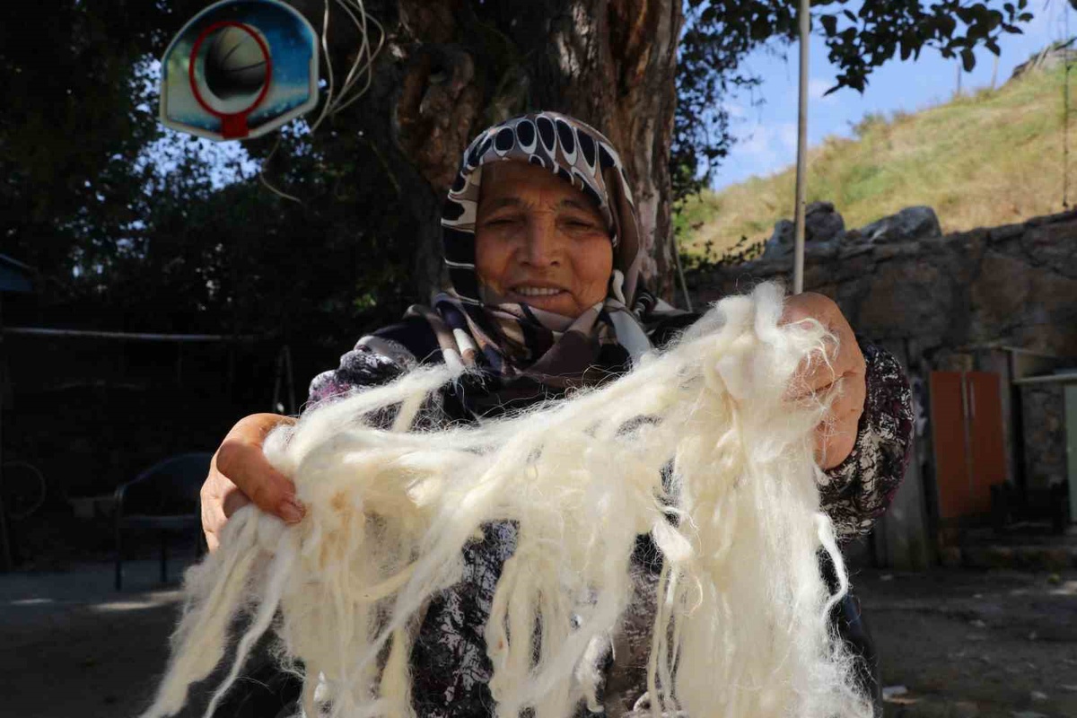 Sivas'ta Yün Temizleme Geleneği