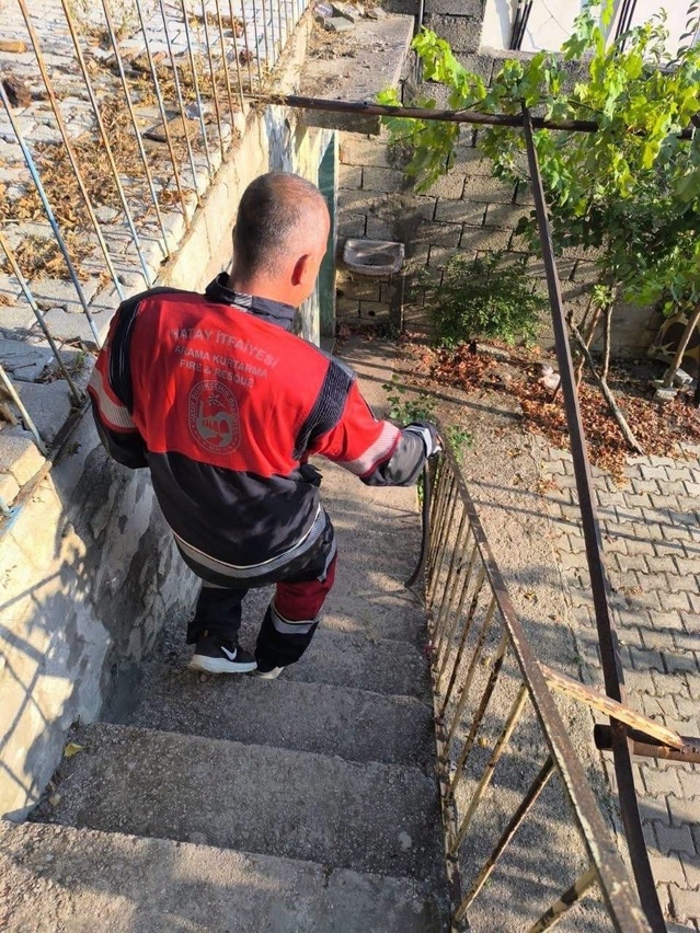 Antakya'da Yılanlar Güvenle Yakalandı