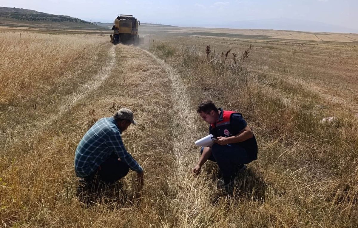 Kars'ta Biçerdöver Kontrolleri Devam Ediyor