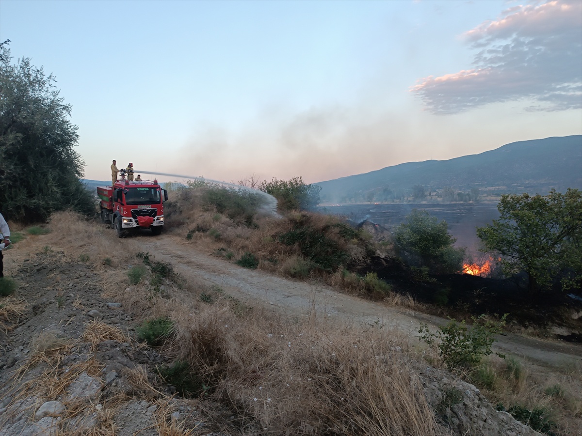Tosya'da Anız Yangını: 400 Dekar Zarar
