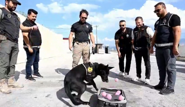 Zehir tacirlerinin korkulu rüyası emekli oldu