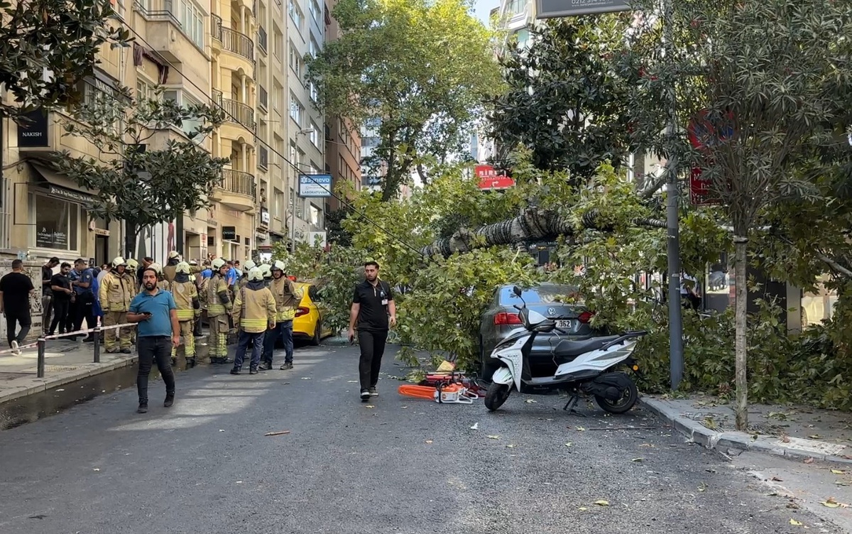 Şişli'de Devrilen Ağaç İki Araca Zarar Verdi
