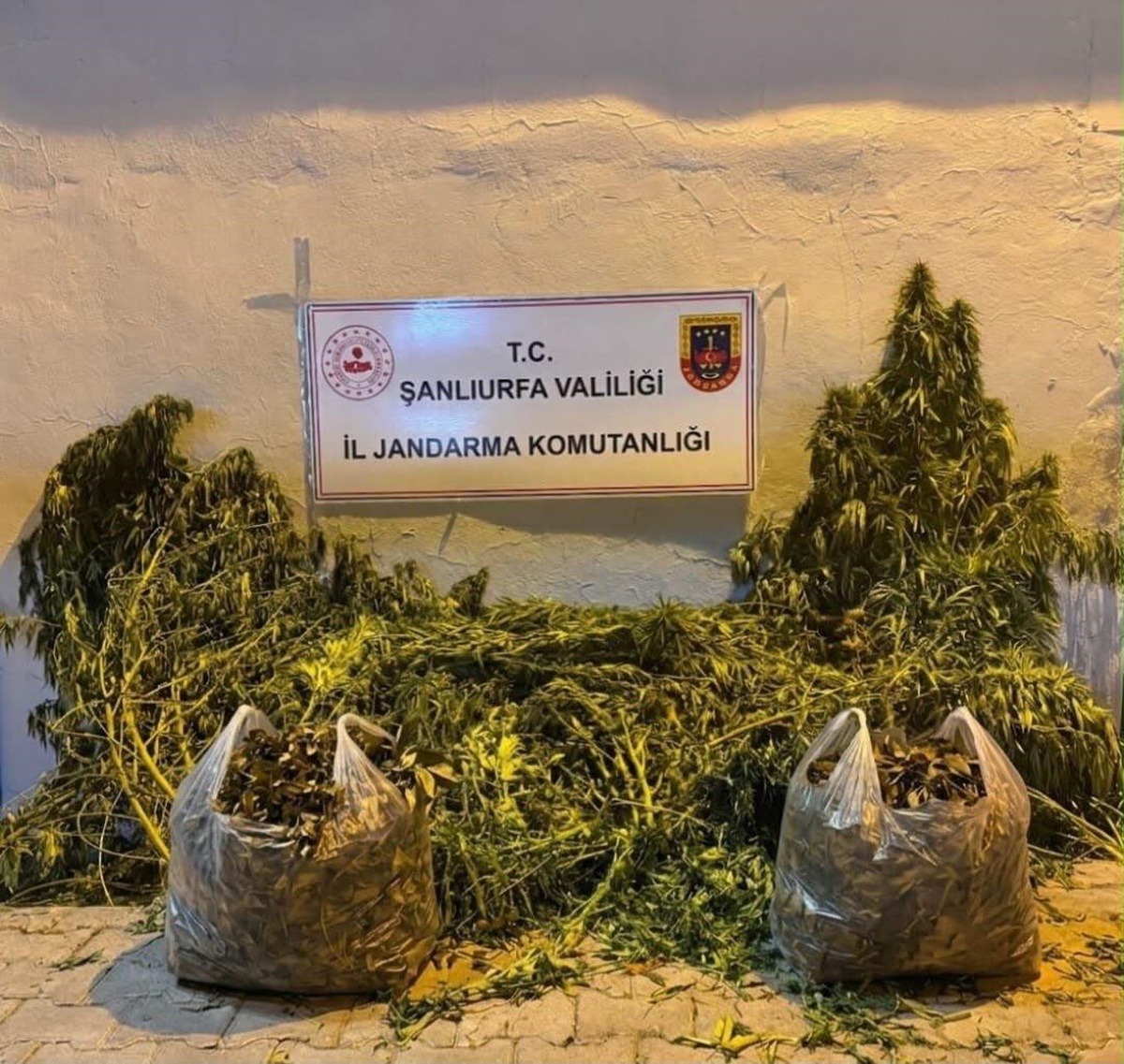 Şanlıurfa'da Uyuşturucu Operasyonu