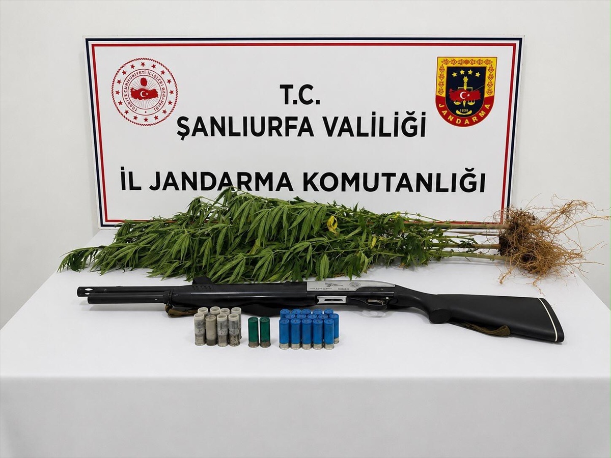 Uyuşturucu Operasyonu: 2 Gözaltı