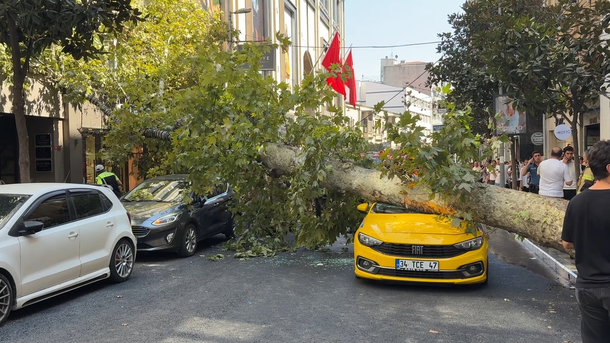 Şişli'de Devrilen Ağaç 2 Araca Düştü