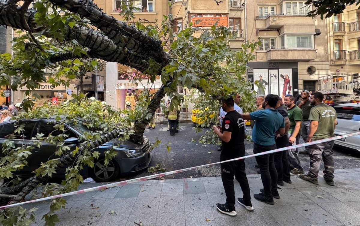 Şişli'de Ağaç Devrildi, İki Araç Hasar Gördü