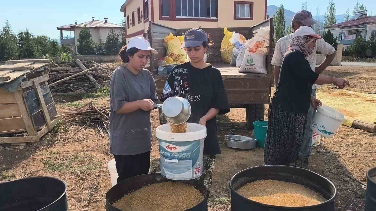 Tokdemir Kardeşlerin Tarla Hikayesi