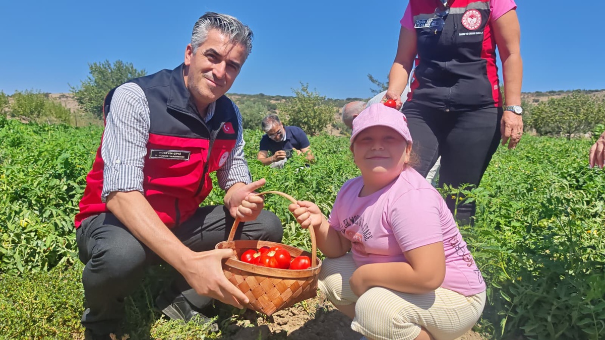 Yamanlar Tarla Domatesi için Tarla Günü Etkinliği