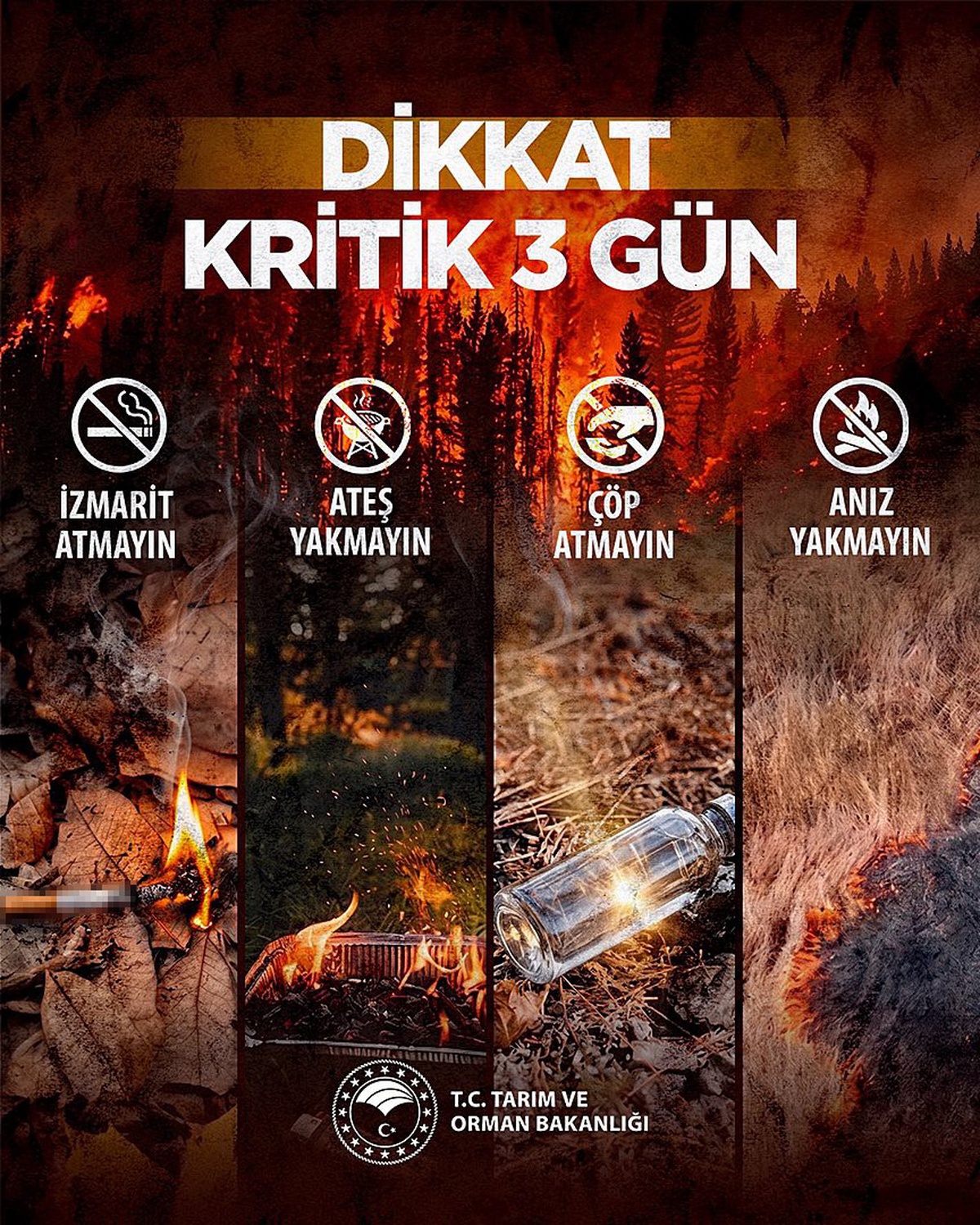 Kritik Günler: Orman Yangınları Riski Artıyor