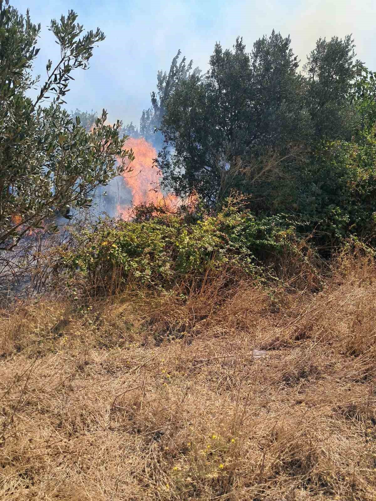 Bursa’da iki ayrı ot yangını kontrol altına alındı