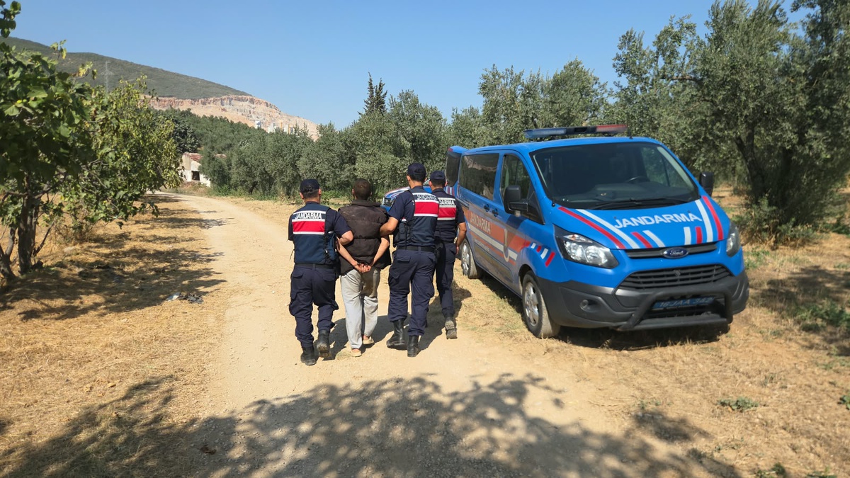 Hırsız Sürücü Zeytinlikte Yakalandı