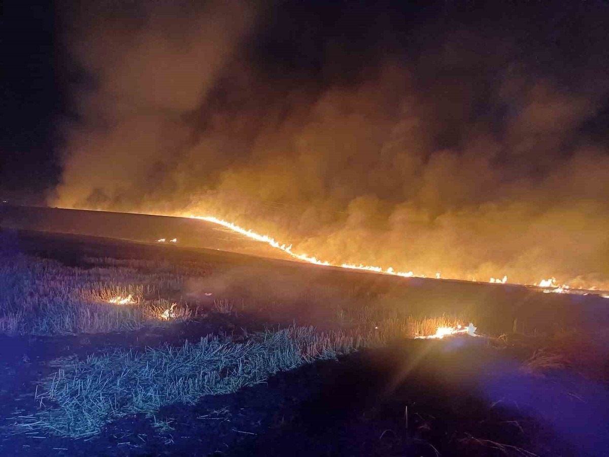 Alaca'da Örtü Yangını