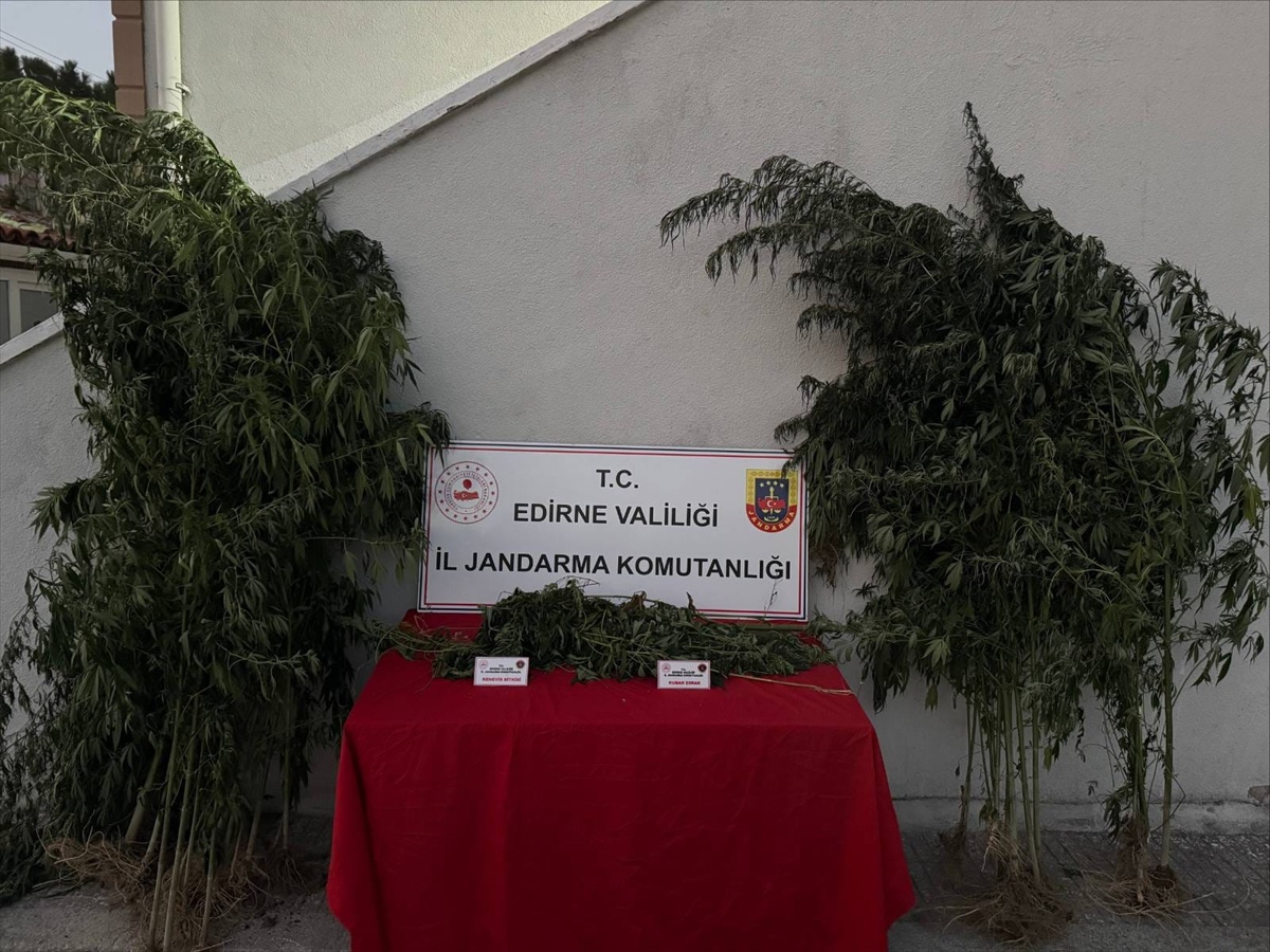 Edirne'de Hint Keneviri Sulayan Şahıs Yakalandı