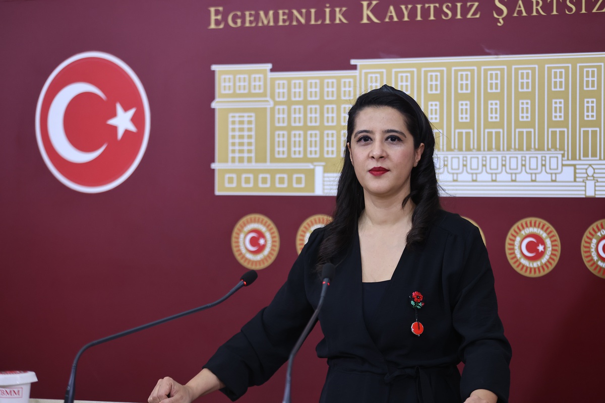 TBMM'ye Orman Yangınına İlişkin Soru Önergesi
