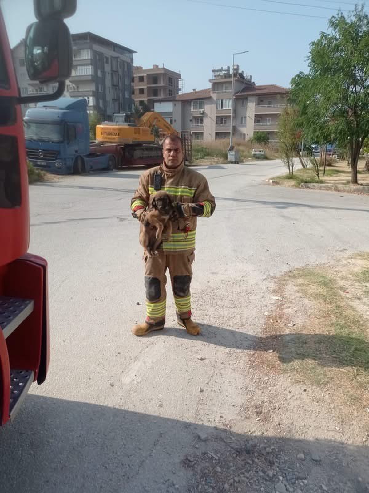Hayvanlar Mahsur Kaldı, İtfaiye Kurtardı