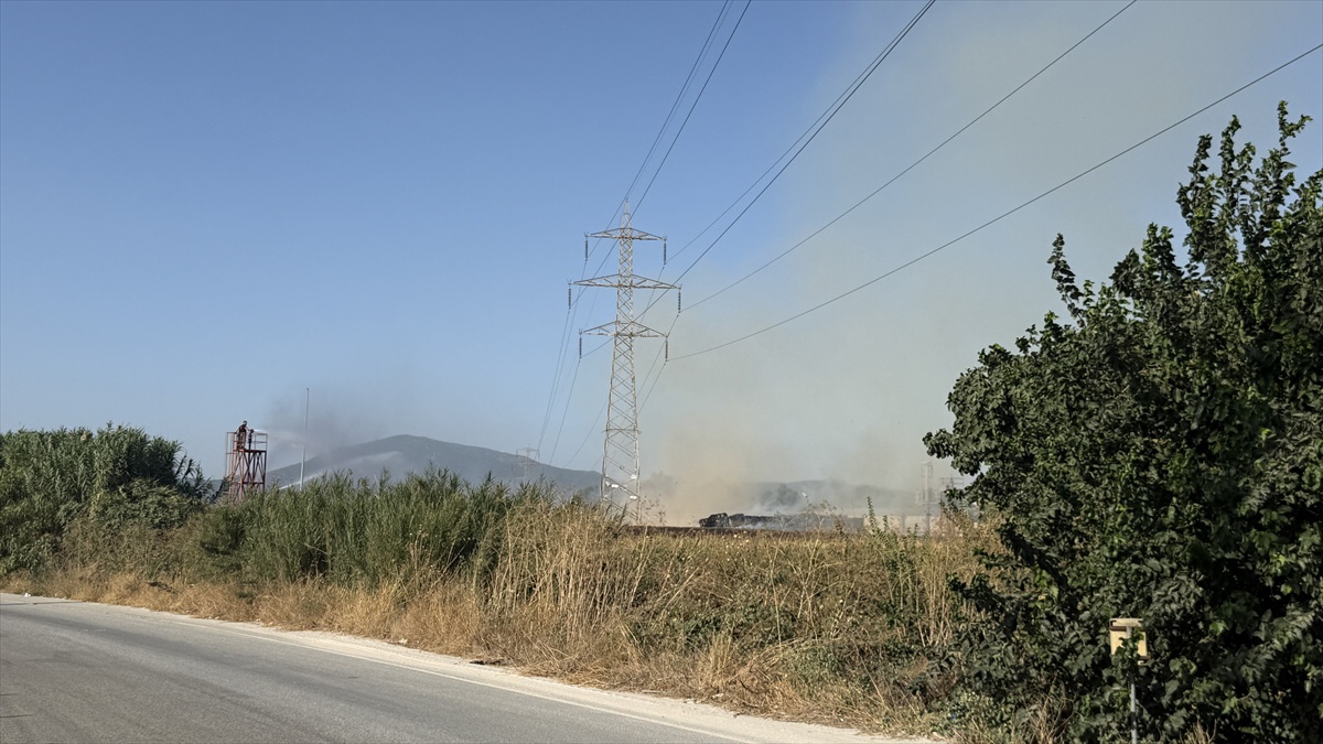 Tire'deki Kağıt Fabrikasında Yangın