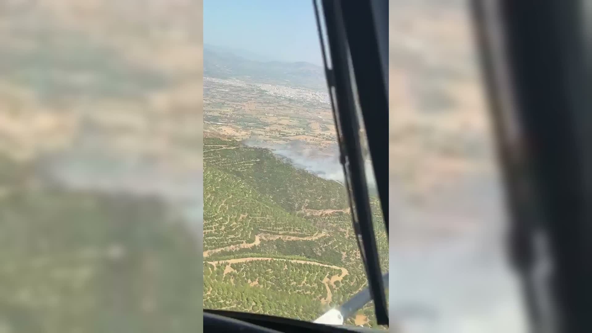 Ödemiş'te Orman Yangını