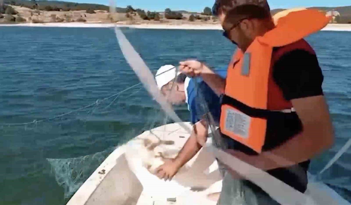 Beyler Barajı'nda Kaçak Ağ Ele Geçirildi