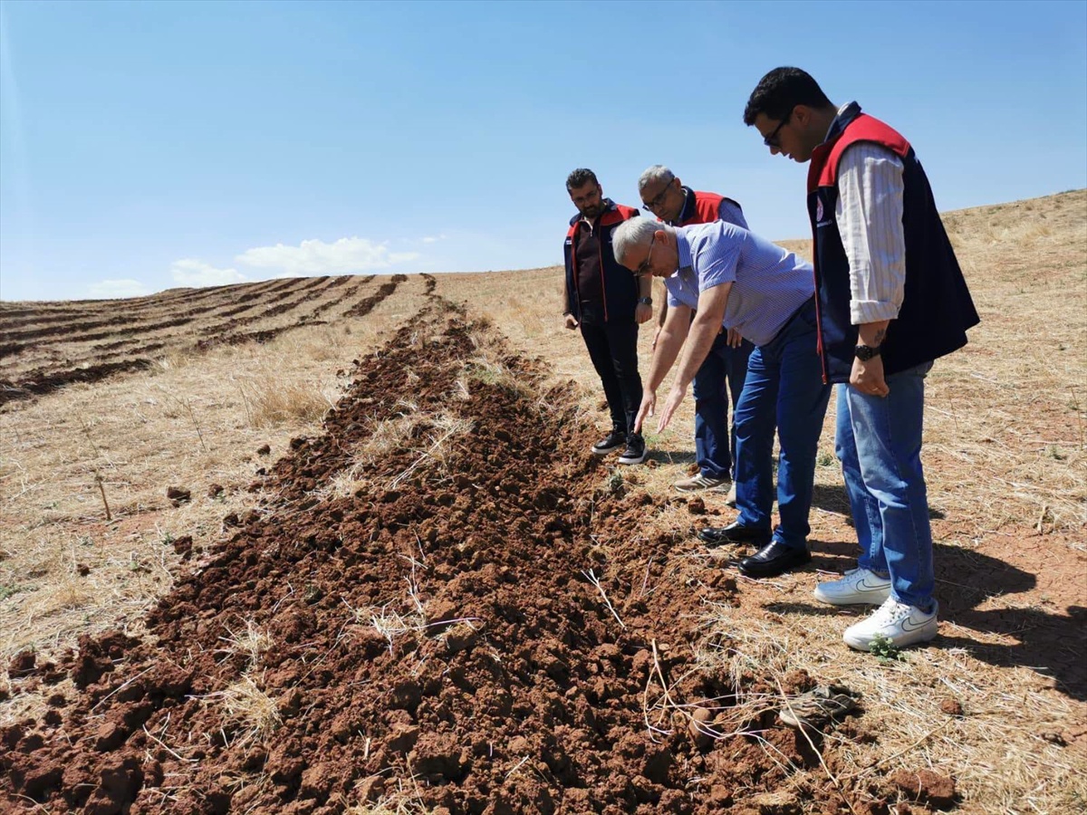 Kırıkkale'de Tuz Çalısı Dikimi Başladı