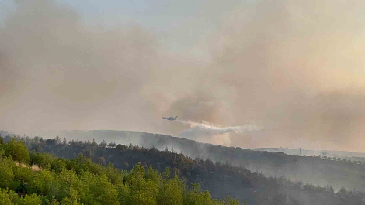 Manisa'da Yangın Riski Yüksek