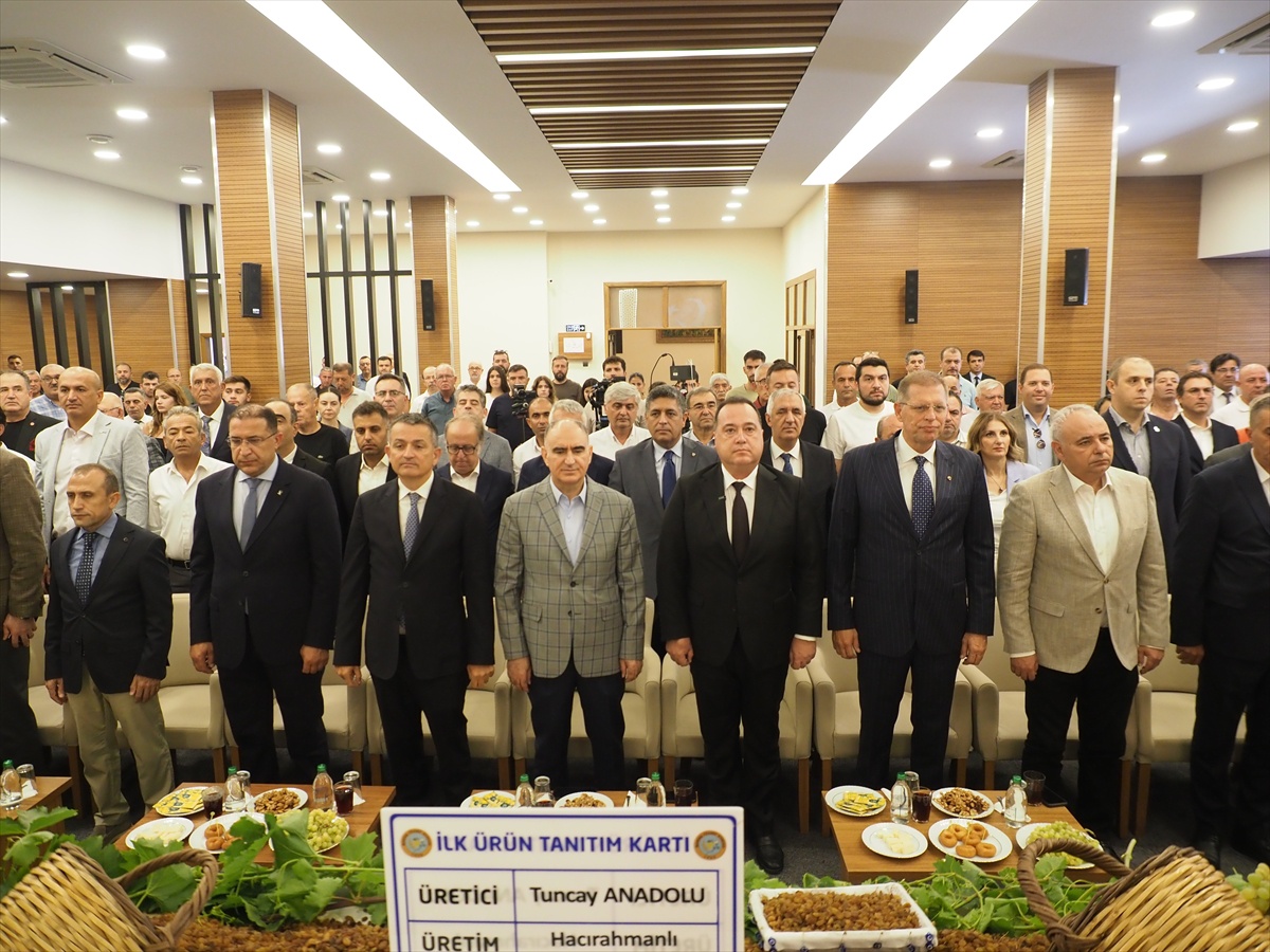 Manisa'da Çekirdeksiz Kuru Üzüm Sezonu Açıldı