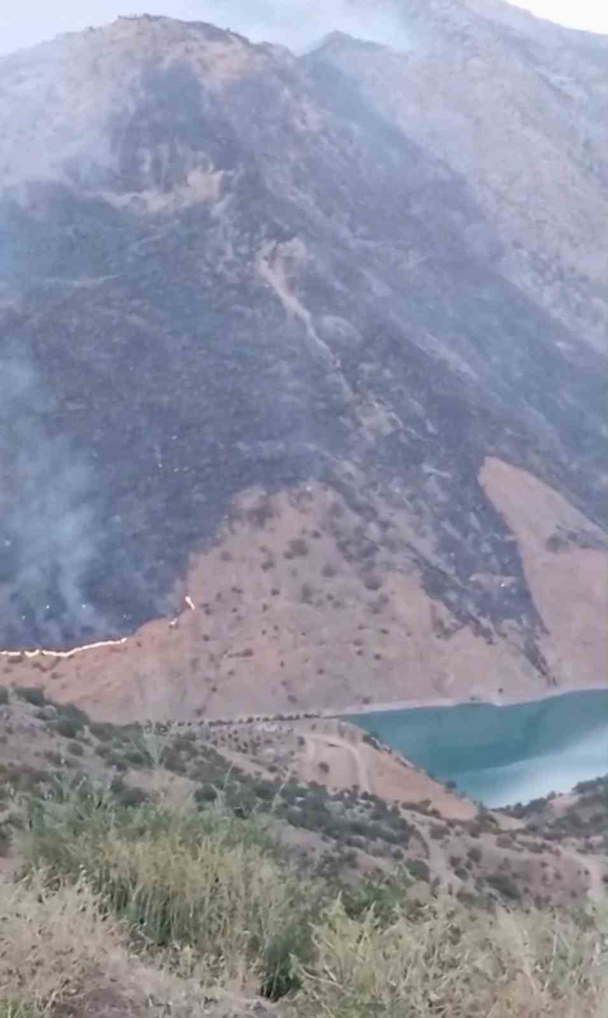 Siirt'te Kırsal Alanda Yangın
