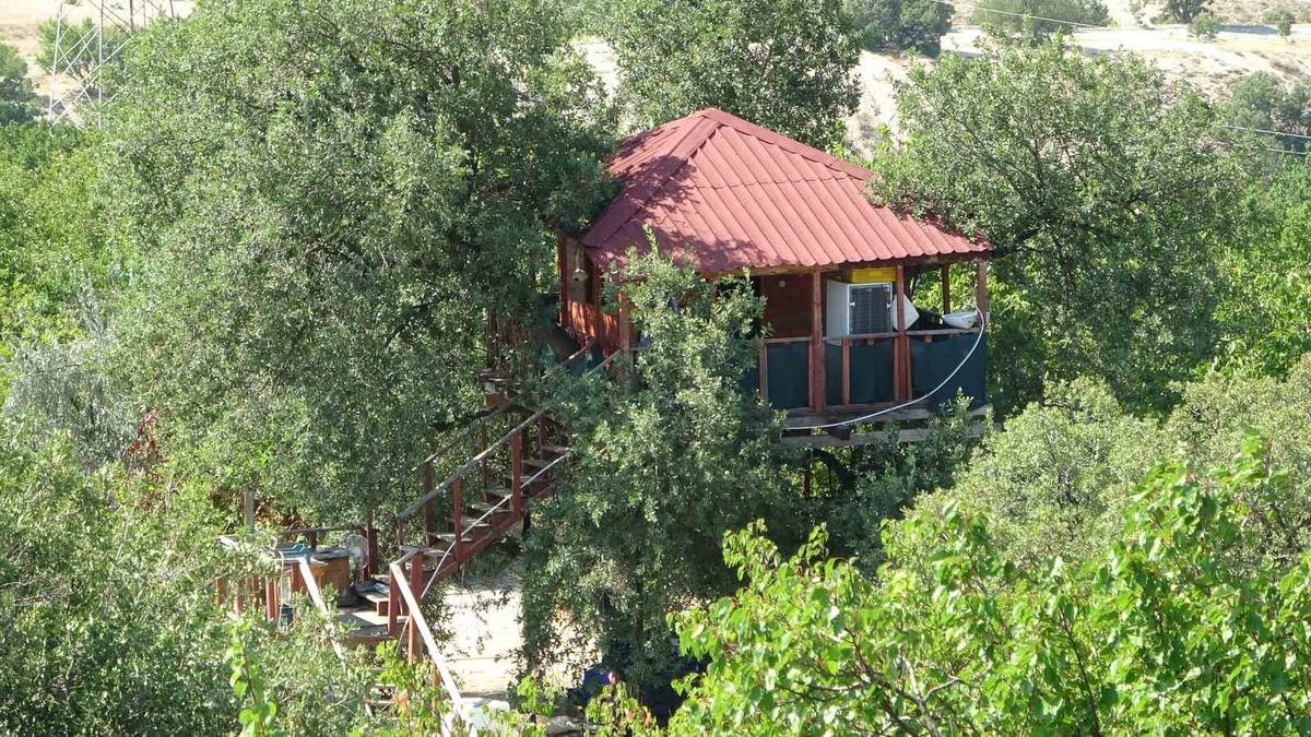 Meşe Ağacına Ev Yaptı