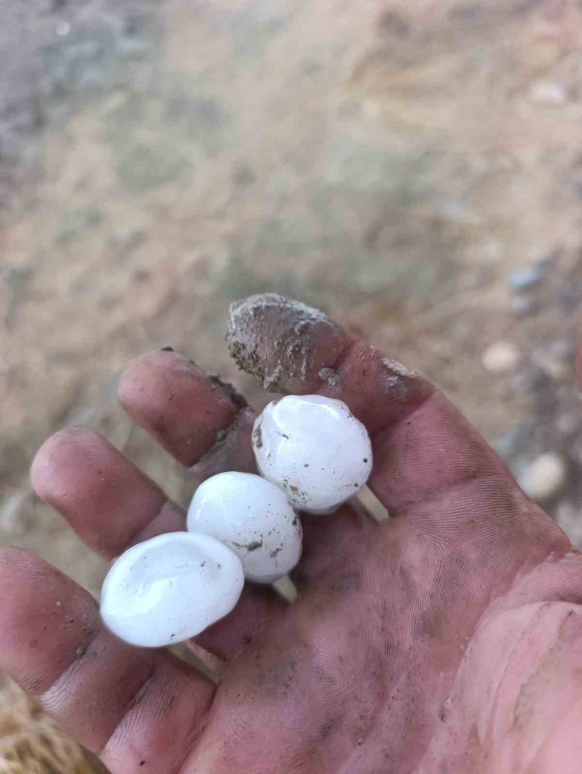 Kozan'da Ceviz Büyüklüğünde Dolu Yağdı
