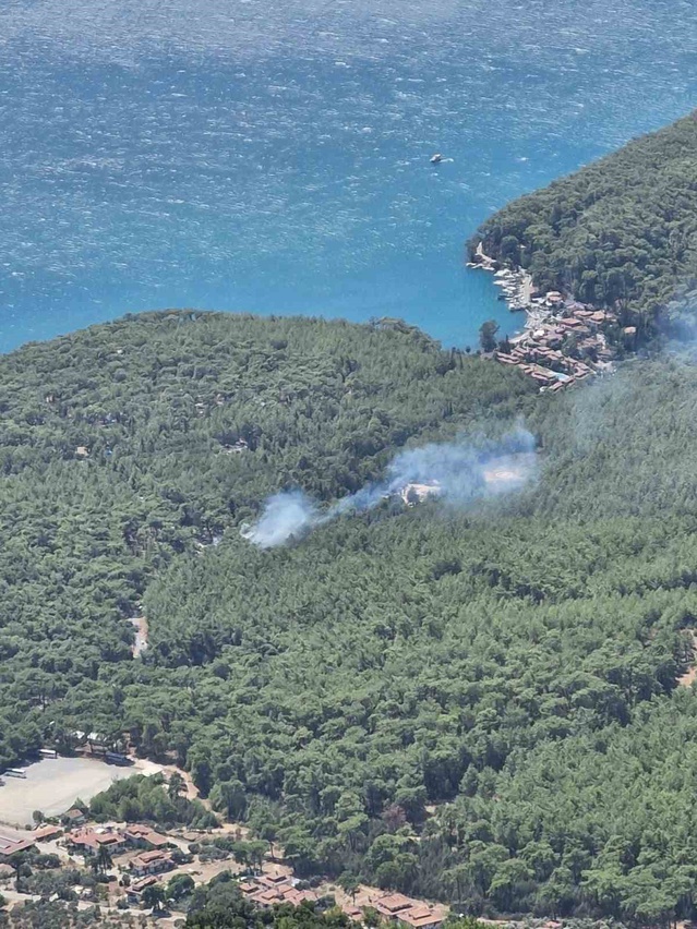 Akyaka'da Orman Yangını Çıktı